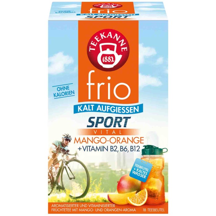 Teekanne frio Sport Mango-Orange Tee zum kalt aufgießen 18 Teebeutel